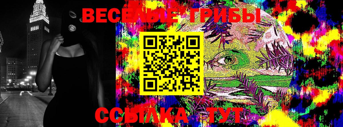 Михайловка  Псилоцибиновые грибы прущие грибы  Вход с VPN 